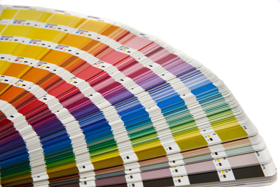 A fan of brand colour swatches